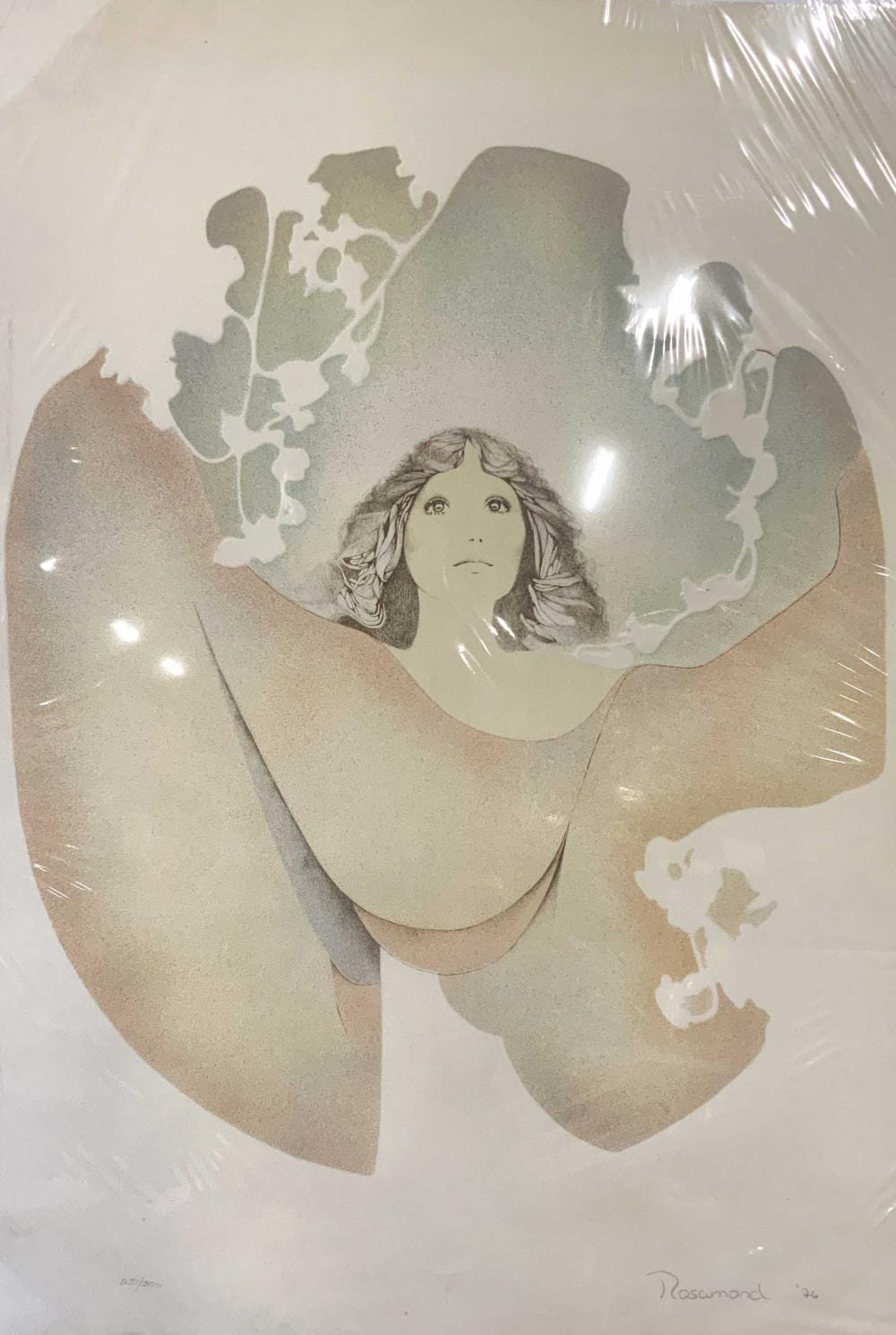 Christine Rosamond comparable auction result: christine rosamond signed ltd ed litho 76