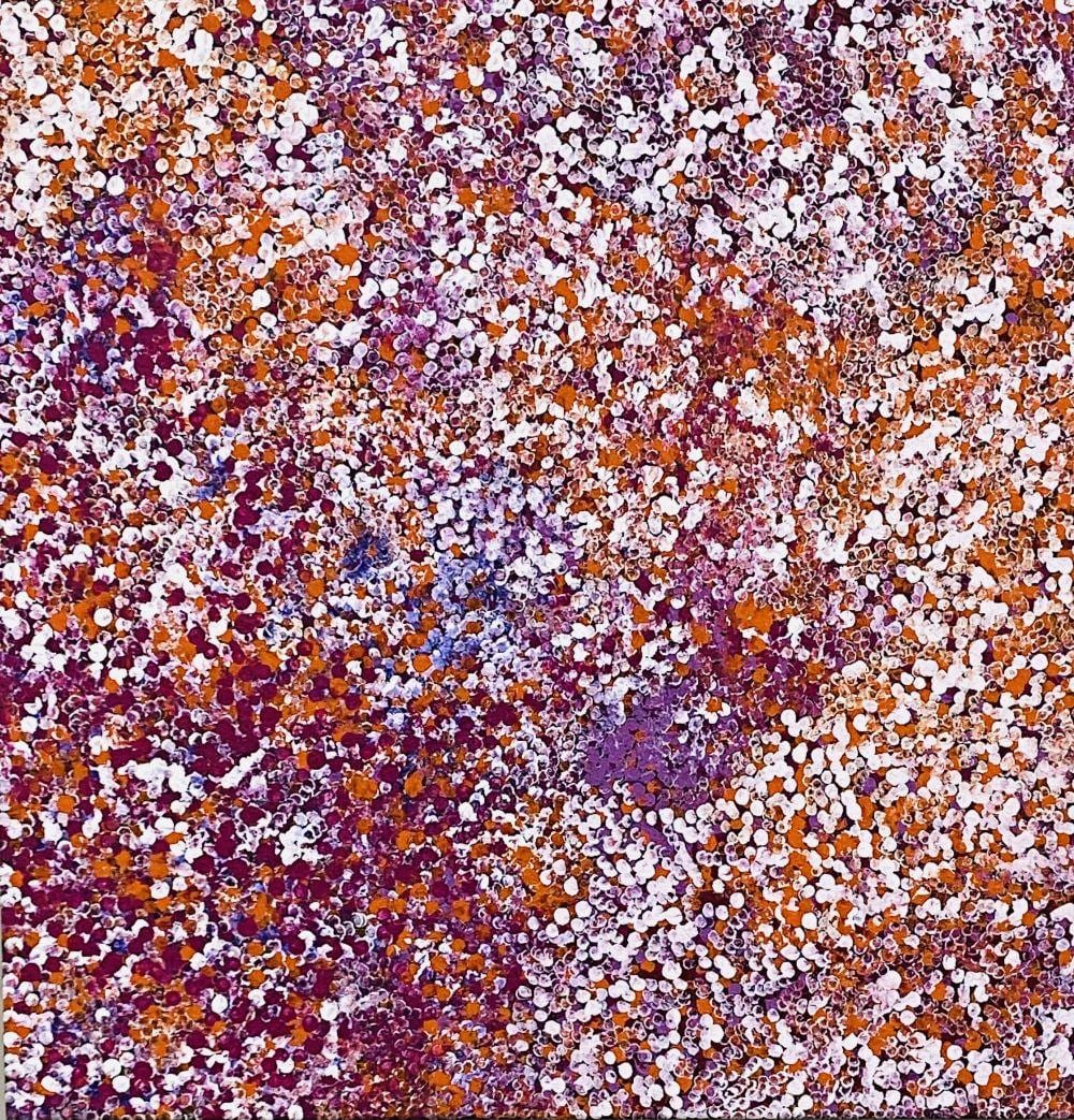 Belinda Golder comparable auction result: belinda golder anwekety bush plum dreaming acrylic on canvas painted 2020 stretched and ready to hang comes with a certificate of authenticity 95cm x 95cm