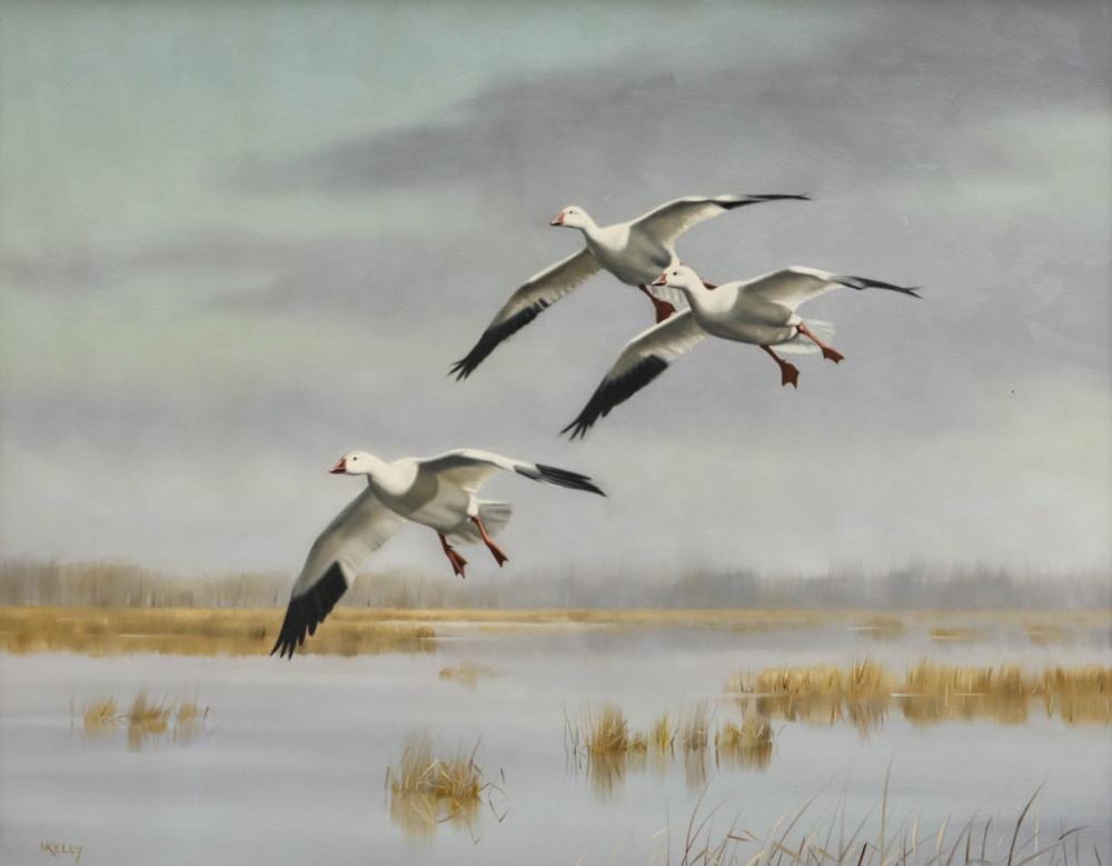 Norman Kelly comparable auction result: norman kelly born 1939 oil on canvas