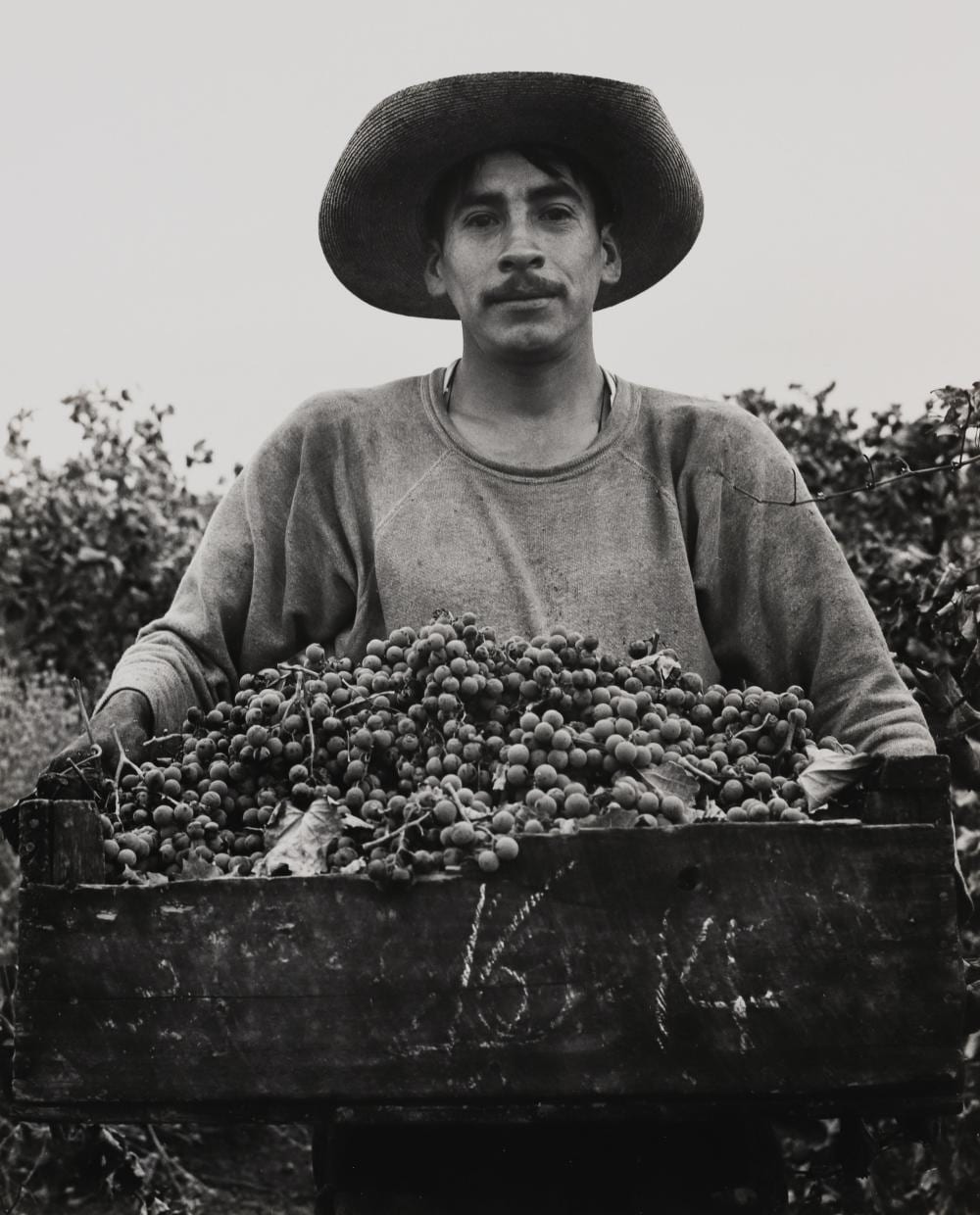 Pirkle Jones comparable auction result: pirkle jones grape picker berryessa valley ca 1956