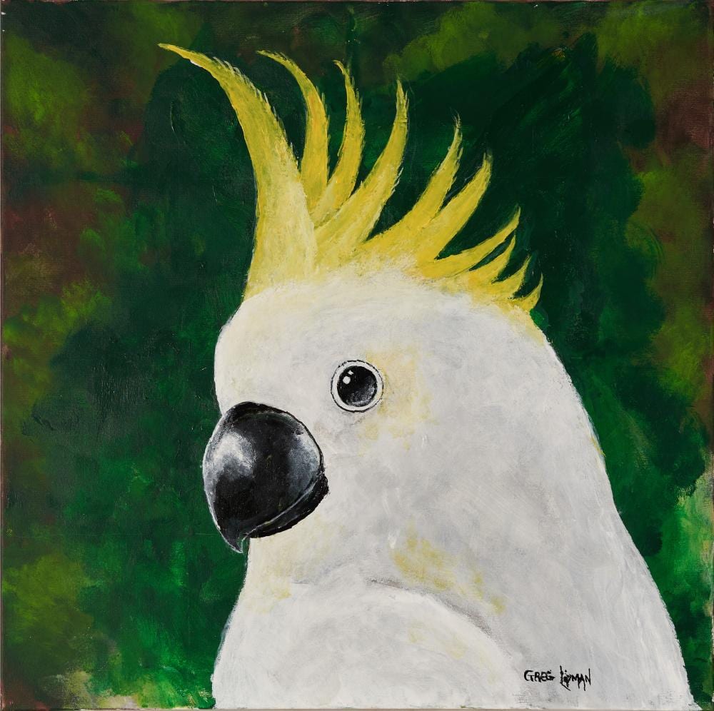 Greg Lipman comparable auction result: greg lipman 1938 sulphur crested cocky acrylic on canvas 61 x 61 cm signed lower right