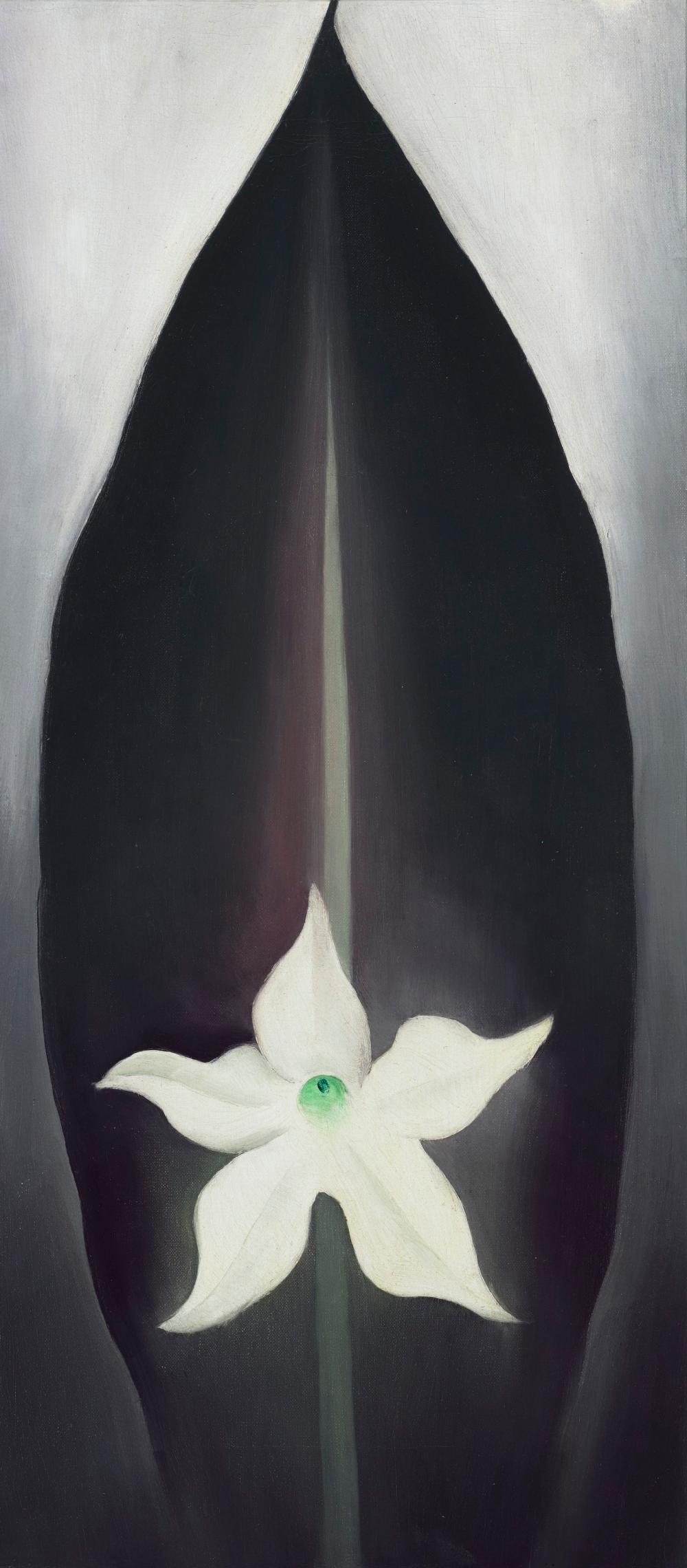 Georgia O'Keeffe (1887-1986) - Autumn Leaf with White Flower comparable sale