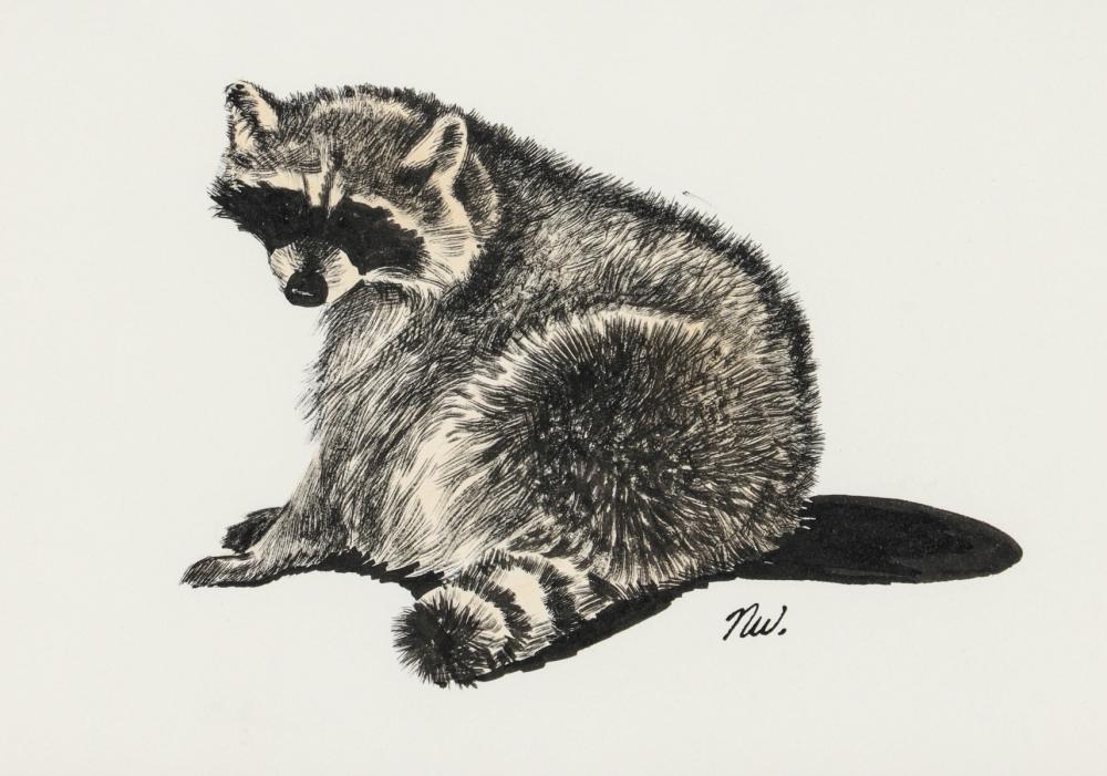 Nicholas Wilson comparable auction result: nicholas wilson b 1947 pen and ink drawing