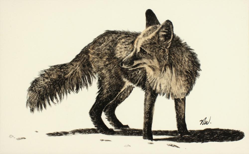 Nicholas Wilson comparable auction result: nicholas wilson b 1947 ink wash on paper