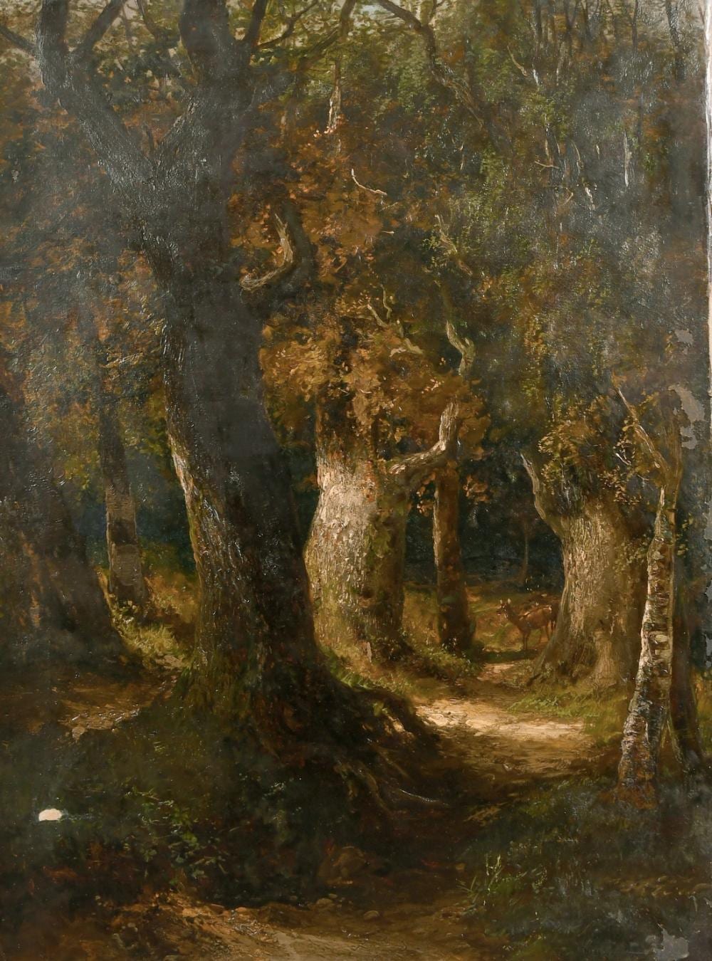 Clarence Roe comparable auction result: clarence roe 1850 1909 british deer by a sunlit glade in a forest oil on canvas signed 36 x 28 unfra