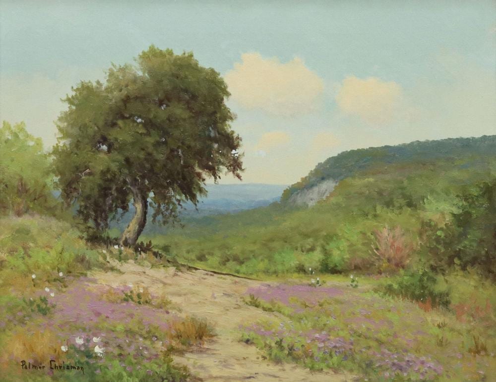 Palmer Chrisman comparable auction result: palmer chrisman 1913 1984 texas hills wildflowers