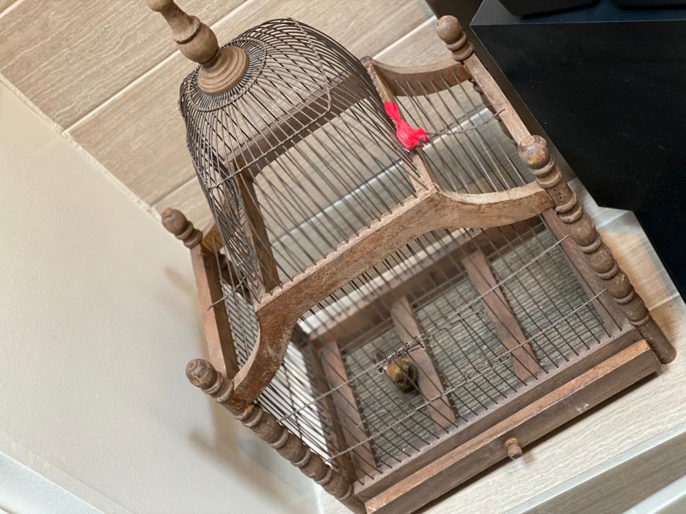 Wooden birdcage with curved top and metal wire bars, viewed from above; a small bird is inside near the front.