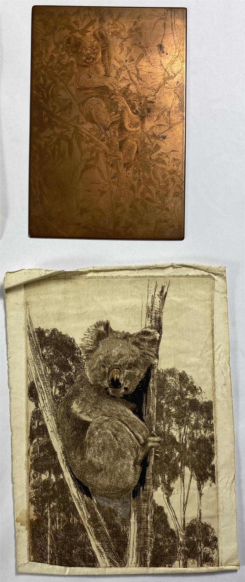 James Squire Morgan comparable auction result: james squire morgan 1866 1974 two koalas in a gum tree boorai of the roni of koala park flight of gulls hound puppies 4 cop