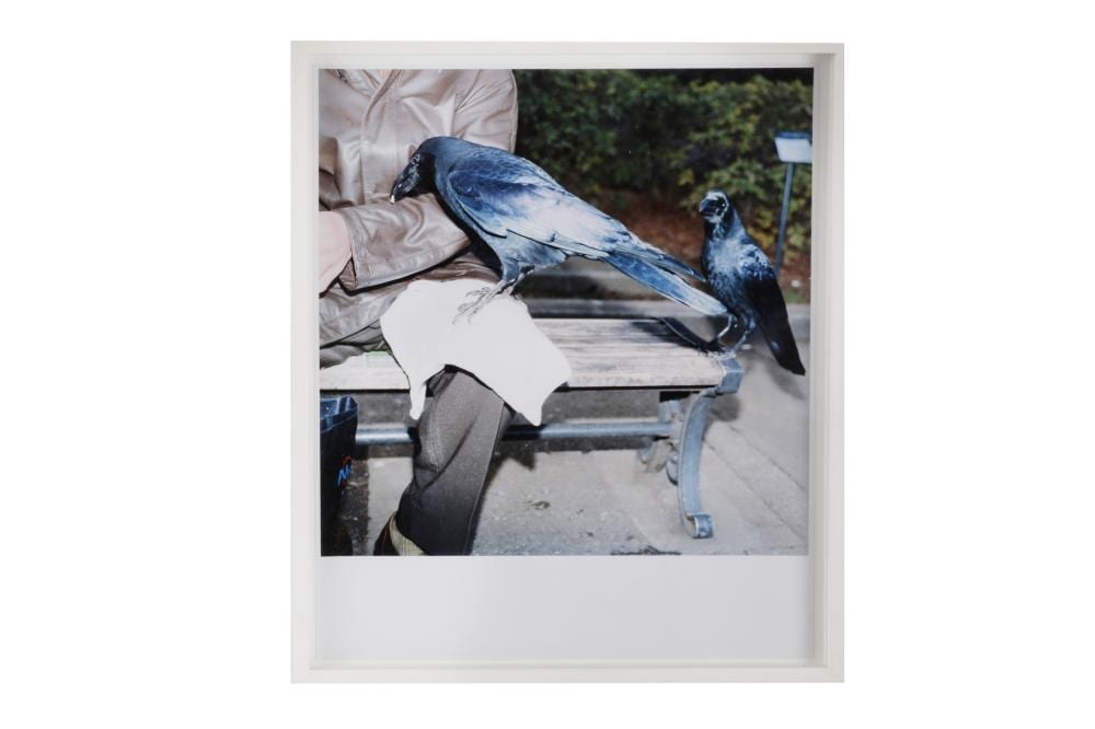 Rinko Kawauchi comparable auction result: rinko kawauchi b 1972