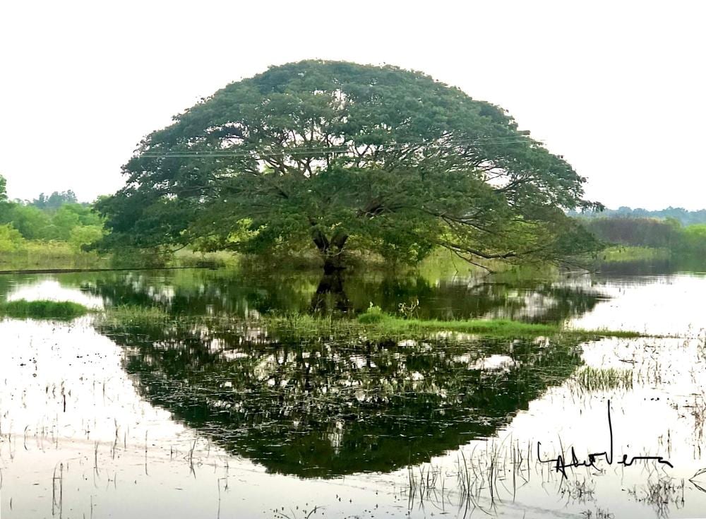Lalit Verma comparable auction result: lalit verma b 1965 ludhiana india