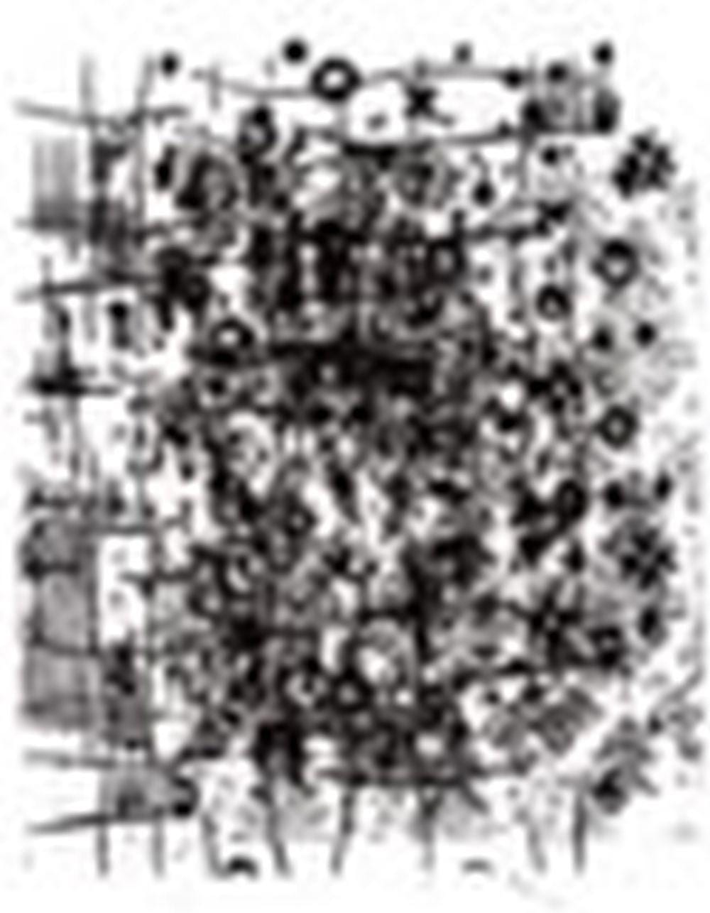 Christopher Wool (B. 1955) Untitled enamel on aluminum 198.7 x 152.7 cm. (7 comparable sale