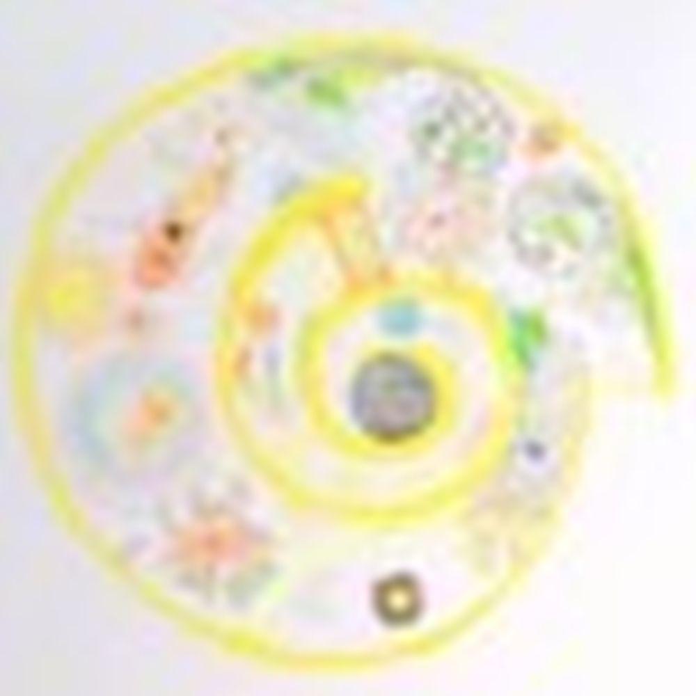 Terence Koh comparable auction result: terence koh b 1977 spiral home used materials and plants 3 5 x 6 2m