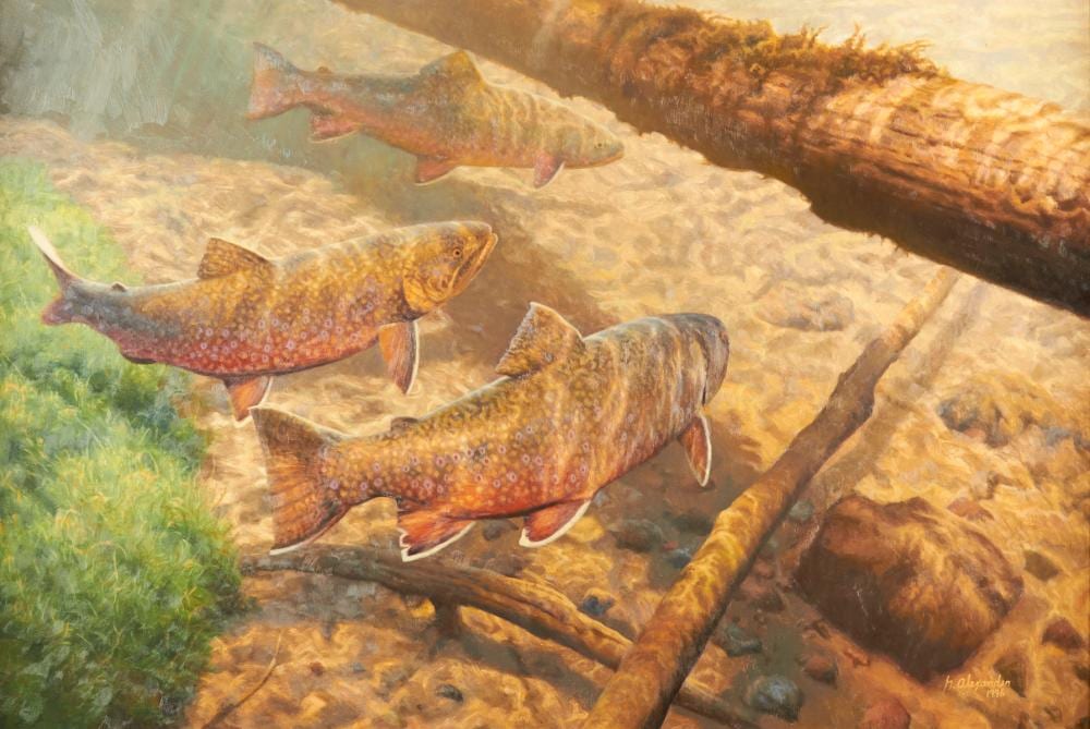Gregory Alexander comparable auction result: greg alexander trout oil on board