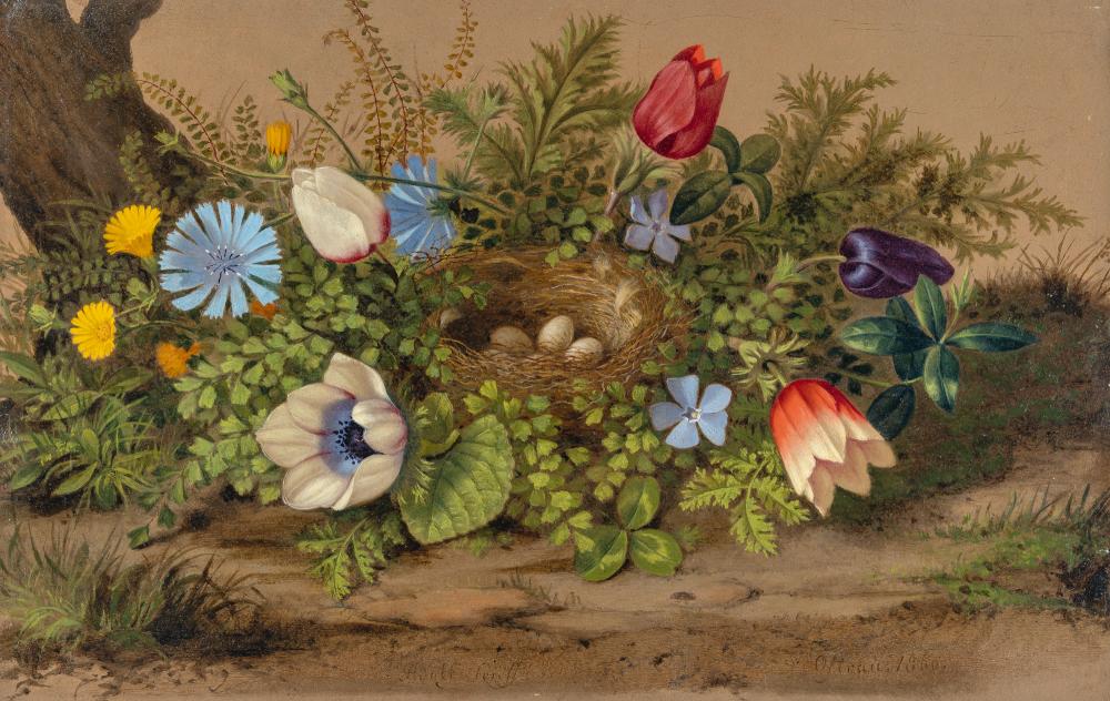 adolf carl senff blumengerahmtes nest mit eiern eggs in a nest surrounded by flowers · Karl & Faber · 2021-06-16 Adolf Wertmüller comparable auction result: adolf carl senff blumengerahmtes nest mit eiern eggs in a nest surrounded by flowers