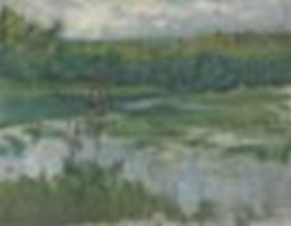 Maria Iakunchikova comparable auction result: maria iakunchikova 1870 1902 stream and little garden the first oil on c