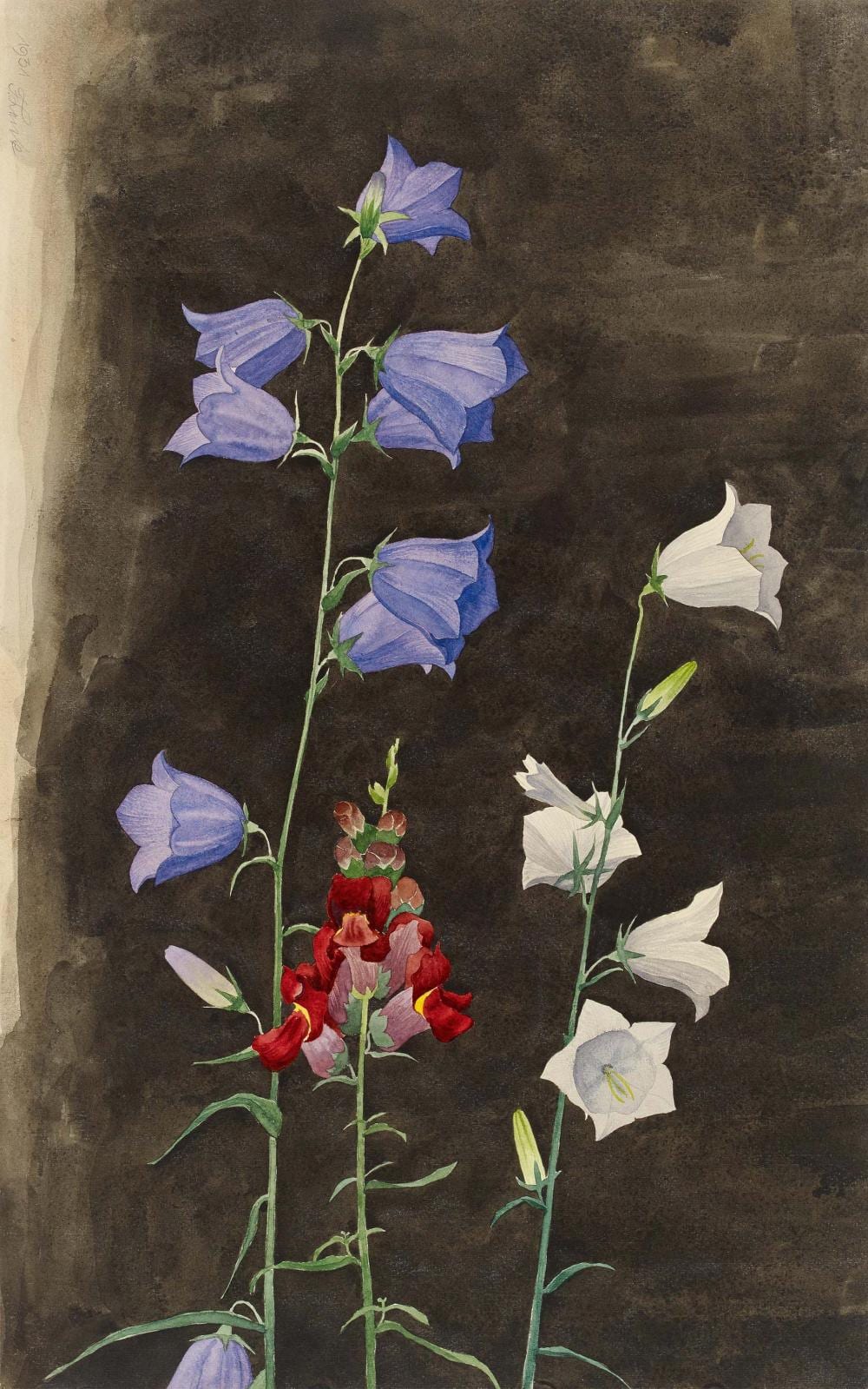 Franz Lenk comparable auction result: franz lenk glockenblumen und l wenmaul