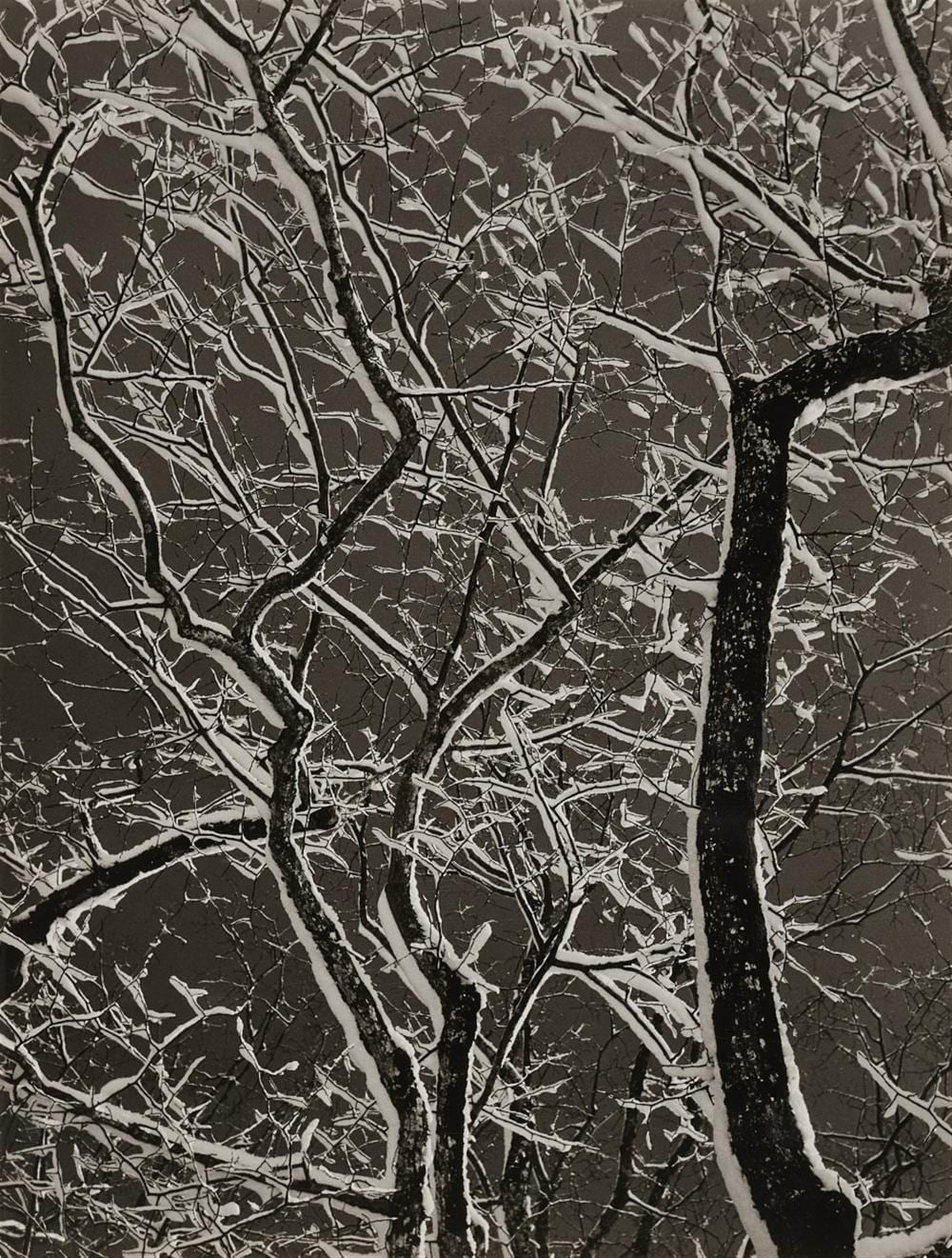 Siegfried Lauterwasser comparable auction result: siegfried lauterwasser winterliches filigran 1952