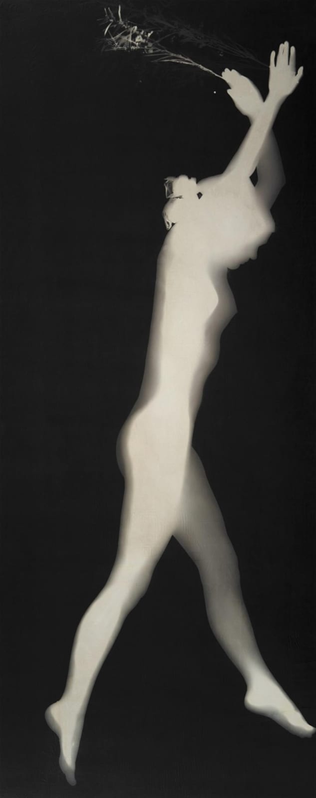 Floris M. Neusüss comparable auction result: floris m neus ss untitled 1964