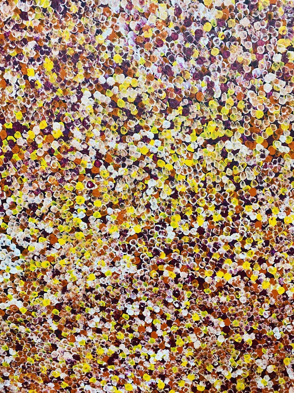 Belinda Golder comparable auction result: belinda golder kemarre bush plum acrylic on linen painted in 2019 comes with certificate of authenticity artwork is stretched and ready to hang 85cm x 138cm