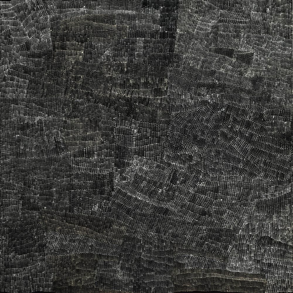 Wentja Napaltjarri comparable auction result: wentja morgan napaltjarri country west of kintore 2007