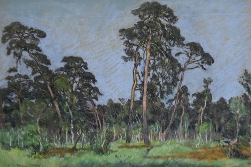 Carl Theodor Meyer comparable auction result: meyer basel f hnwald