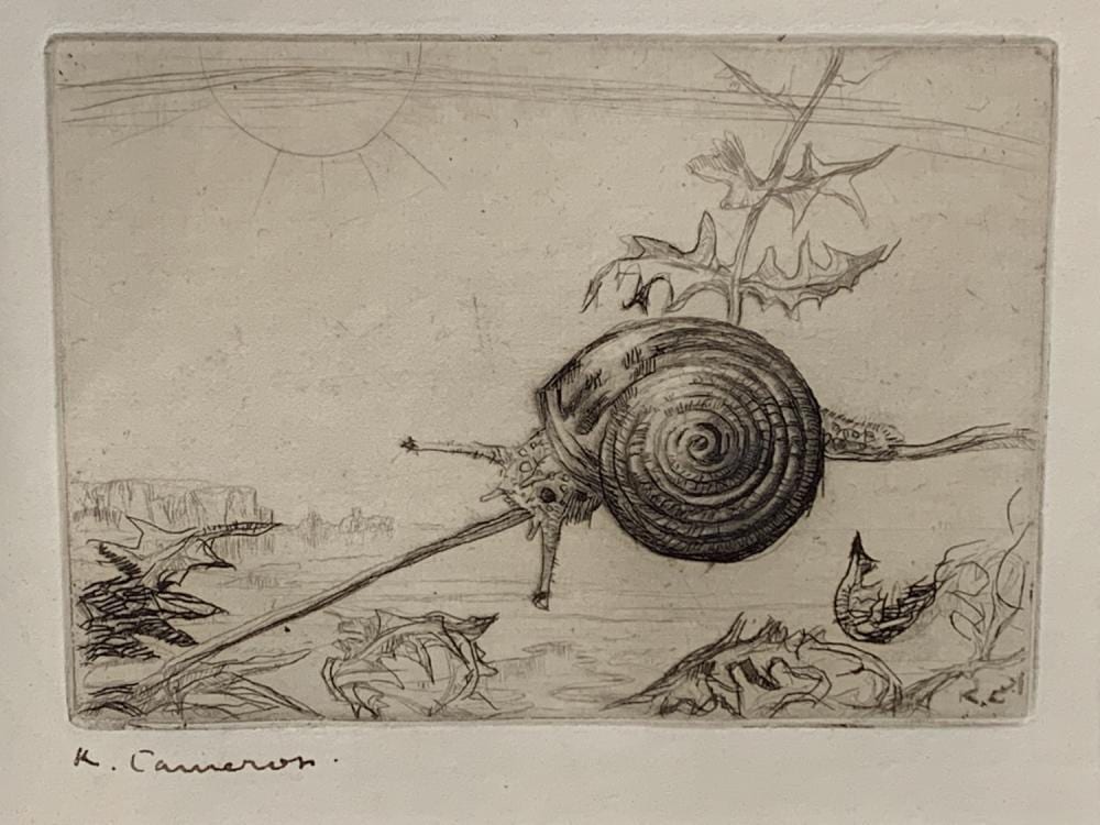 katharine cameron signed etching snail in nature · Kavanagh Auctions · 2021-06-19 Katharine Cameron comparable auction result: katharine cameron signed etching snail in nature