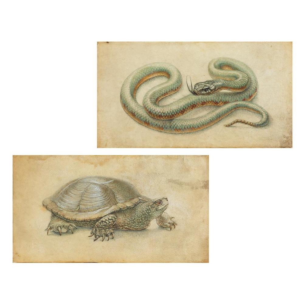 Giovanna Garzoni comparable auction result: giovanna garzoni 1600 ascoli piceno 1670 rom zug