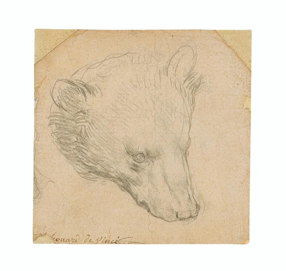 Leonardo da Vinci (Vinci 1452-1519 Amboise) Head of a bear comparable sale