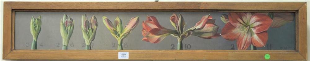 Patricia Windrow comparable auction result: patricia hope windrow american 20th century flowering amaryllis oil on board signed and dated lower right windrow 78 signed