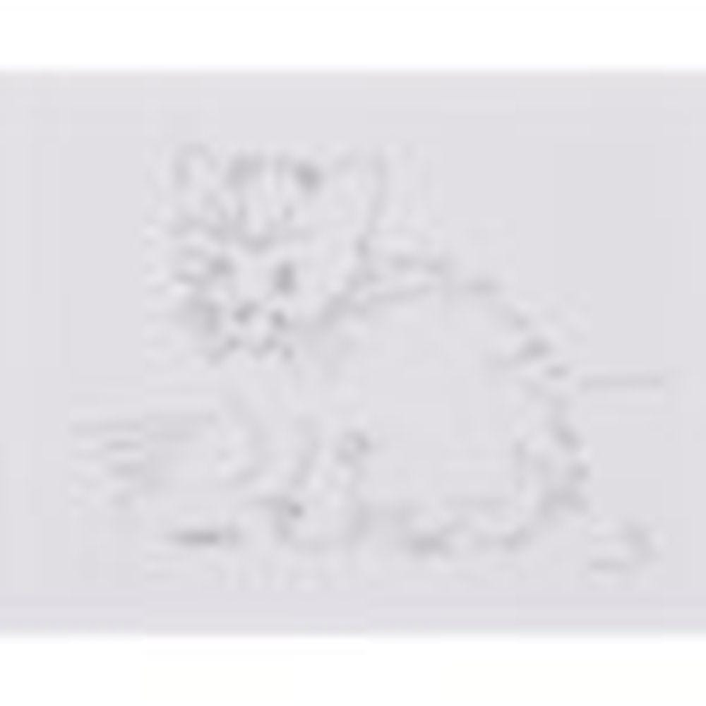 Cory Arcangel comparable auction result: cory arcangel b 1978 untitled kitten drawing graphite on paper 8 x 1