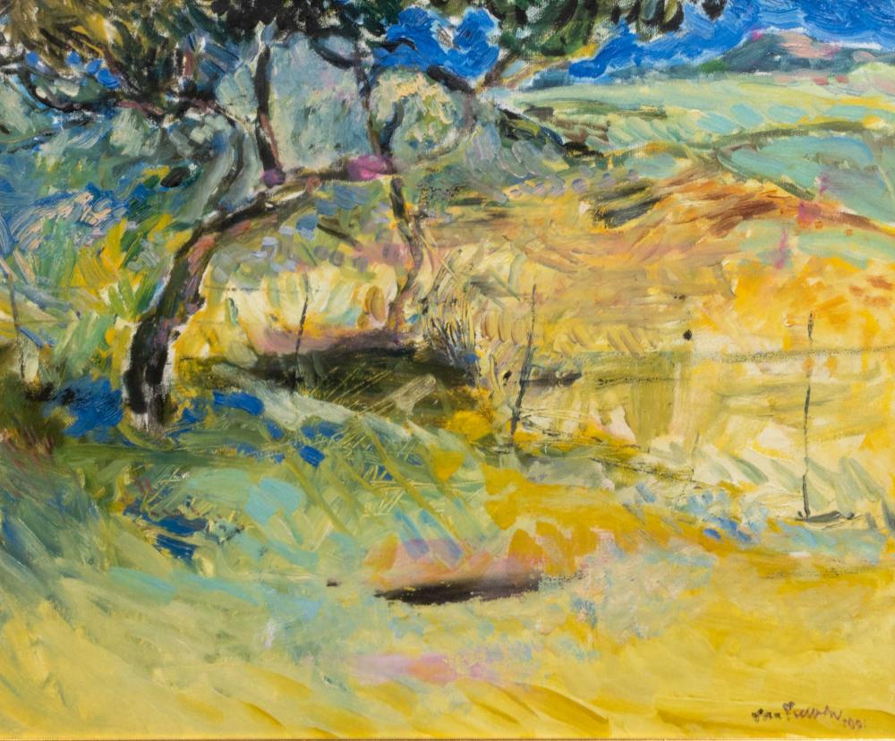Andre van Vuuren comparable auction result: andre van vuuren sa born 1945 oil landscape signed dated 1991 47 x 56