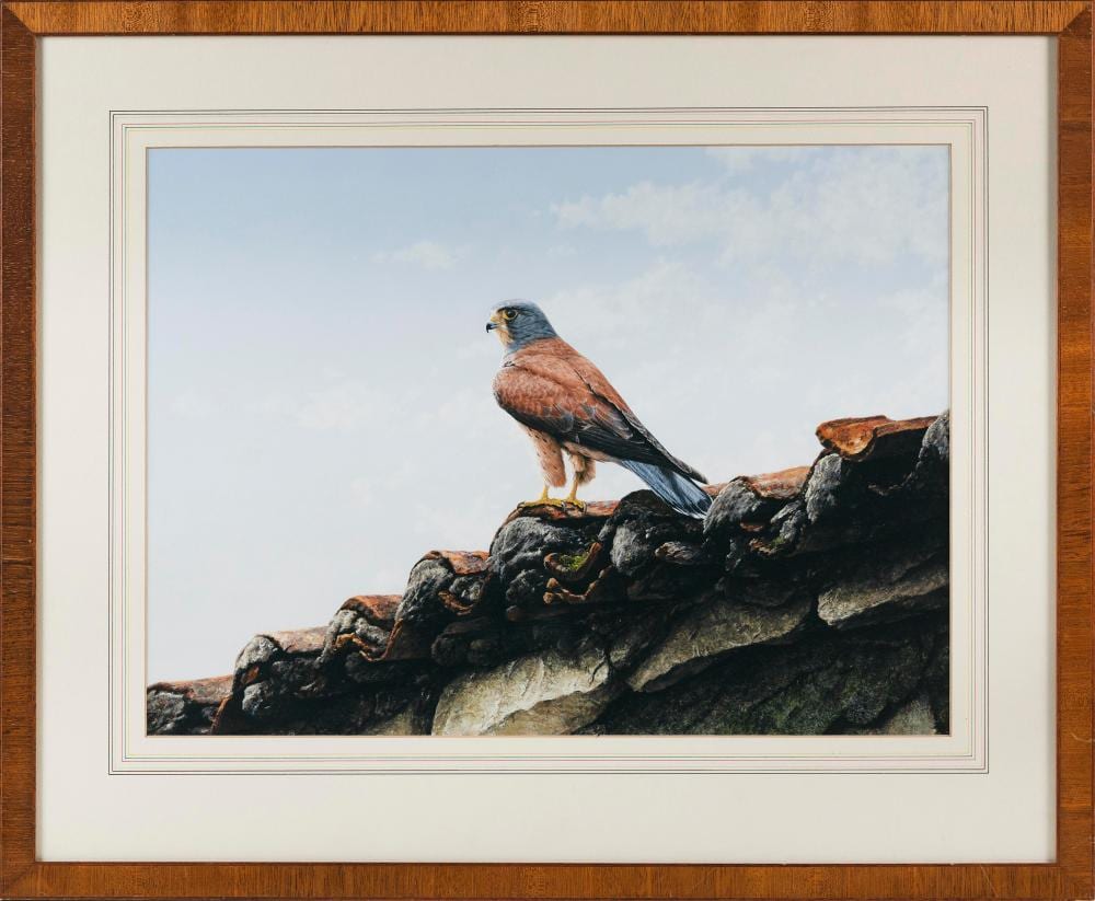 Alan M. Hunt comparable auction result: alan m hunt england b 1947 a hawk perched on a roof gouache on paper 15 x 20 sight framed 23 x 28