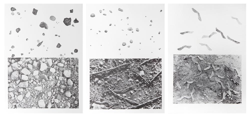 Alan Sonfist comparable auction result: alan sonfist earth series 1 2 3 set of three lithographs