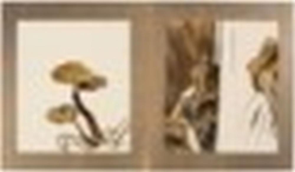 Taishin Ikeda comparable auction result: ikeda taishin 1825 1903 album of fourteen lacuqer paintings fourteen pain