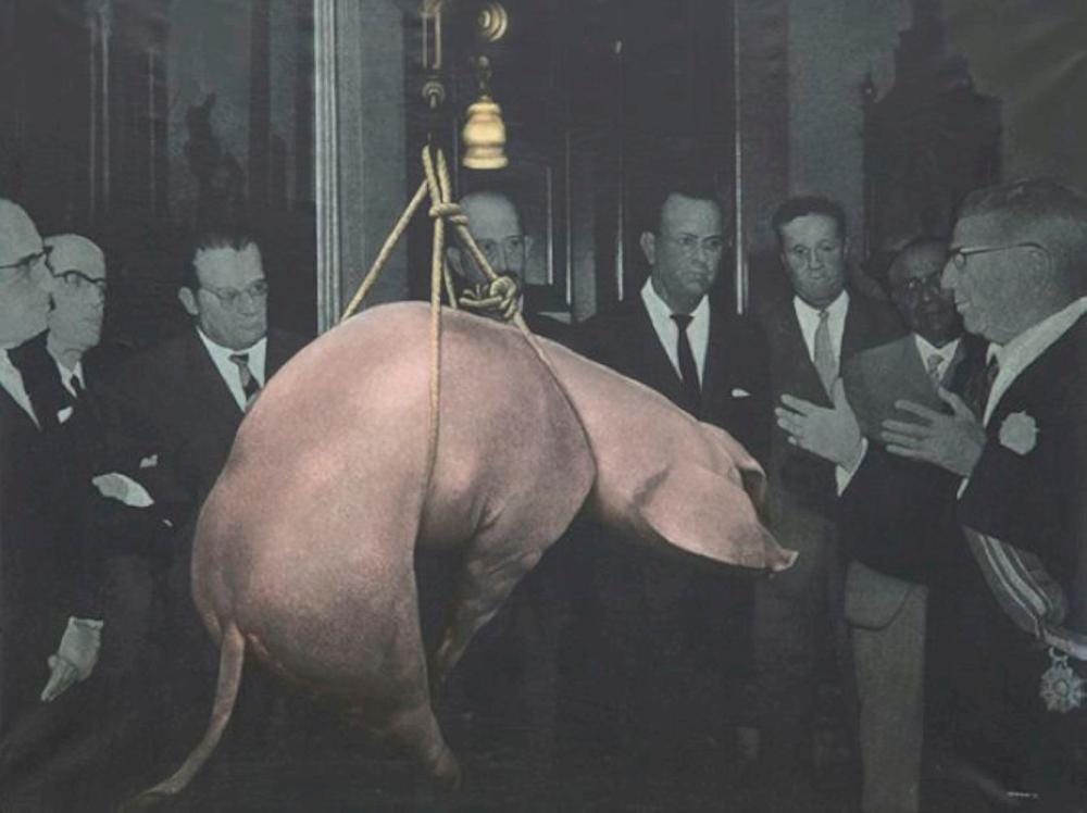 Rafael Armengol comparable auction result: rafael armengol the slaughter of the pig series ii