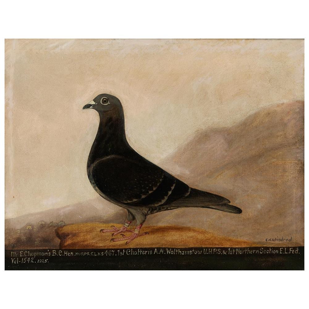 edward henry windred 1875 clifton hill new cross kent england 1953 stoke newington england · Hampel Fine Art Auctions · 2021-09-24 Edward Henry Windred comparable auction result: edward henry windred 1875 clifton hill new cross kent england 1953 stoke newington england