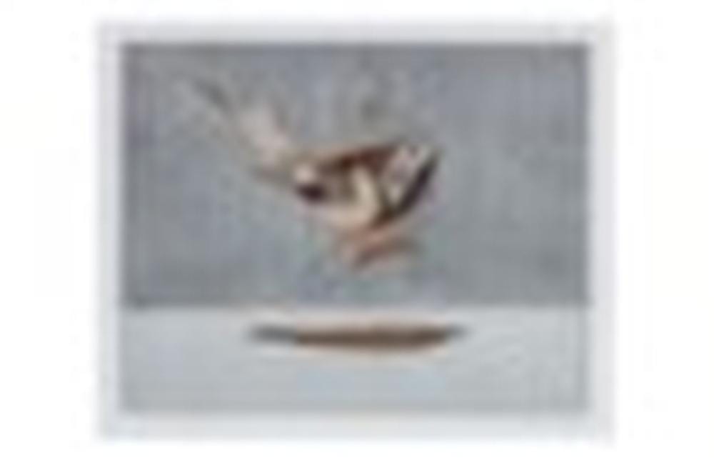 WAYNE THIEBAUD (B. 1920) Bird on a Swing etching and aquatint with hand add sold by Christie's, lot 19 — auction record photograph