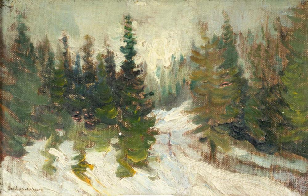jos lussenburg 1889 1975 winter op de veluwe maroufl l o gesig · Veilinghuis Onder de Boompjes · 2021-09-24 Johannes Lussenburg comparable auction result: jos lussenburg 1889 1975 winter op de veluwe maroufl l o gesig