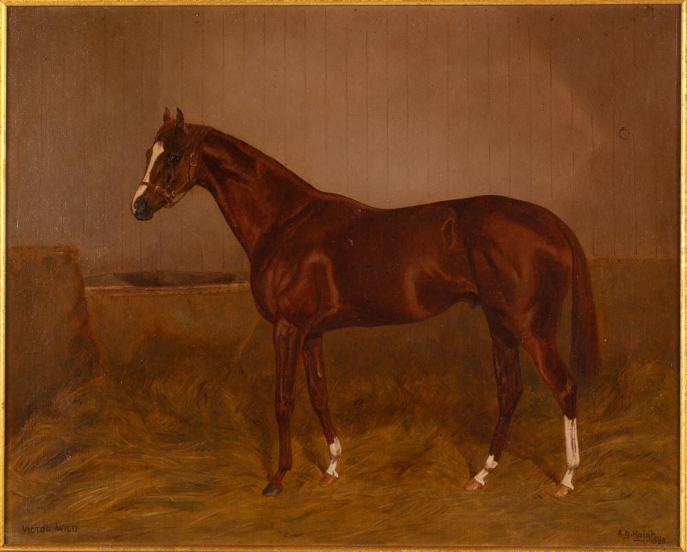 Alfred Grenfell Haigh comparable auction result: alfred grenfell haigh victor wild oil on canvas