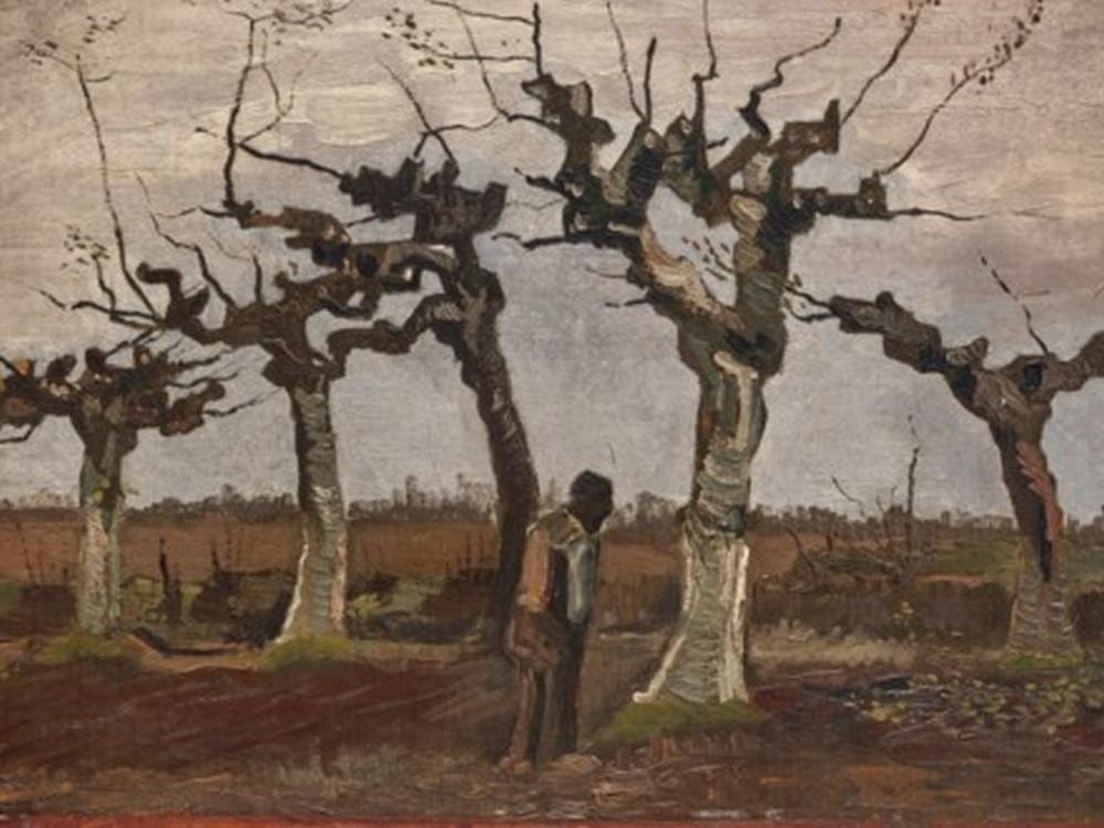 Vincent van Gogh (1853-1890) Knotberken oil on canvas laid down on panel 16 comparable sale