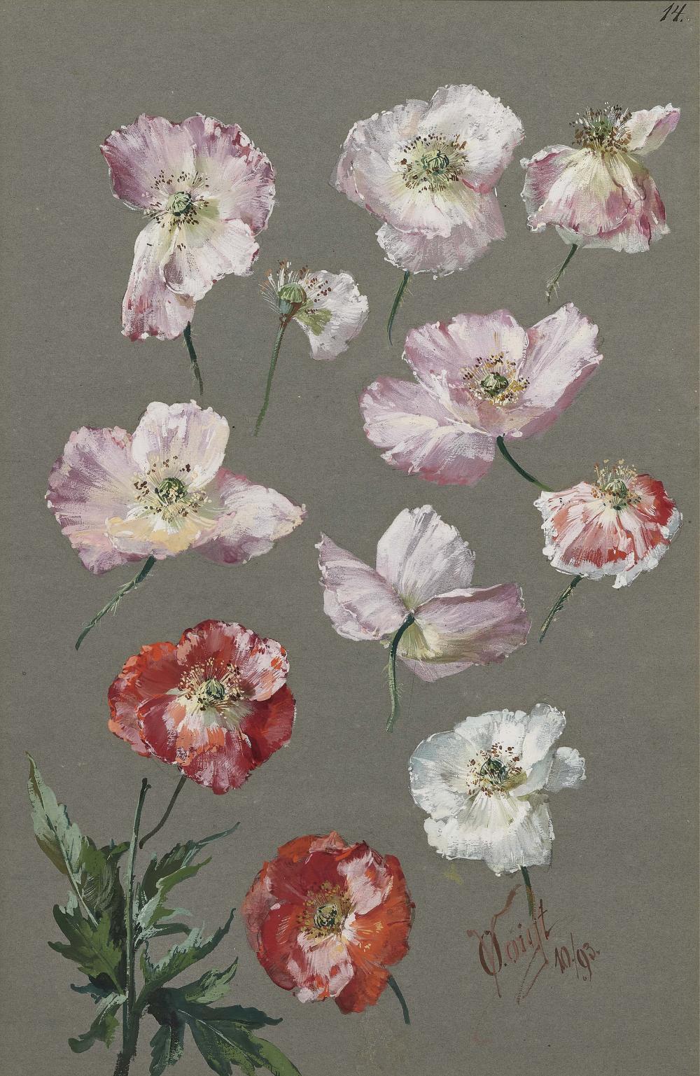 Otto Voigt comparable auction result: otto eduard voigt 1870 dresden 1949 mei en poppy tulips