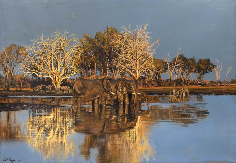 Paul Augustinus comparable auction result: paul augustinus sa born 1952 oil kwikampa pan signed titled verso 86 x 125