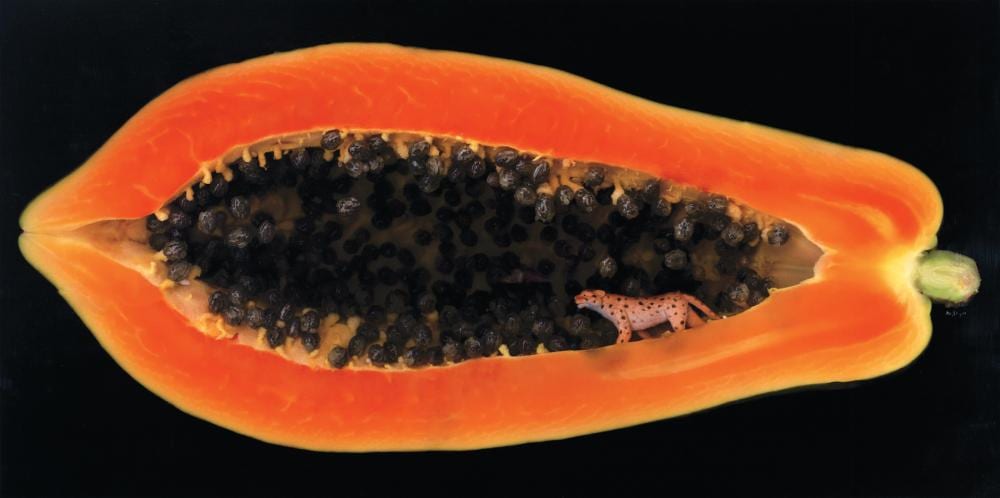 Angki Purbandono comparable auction result: angki purbandono b indonesia 1971 papaya