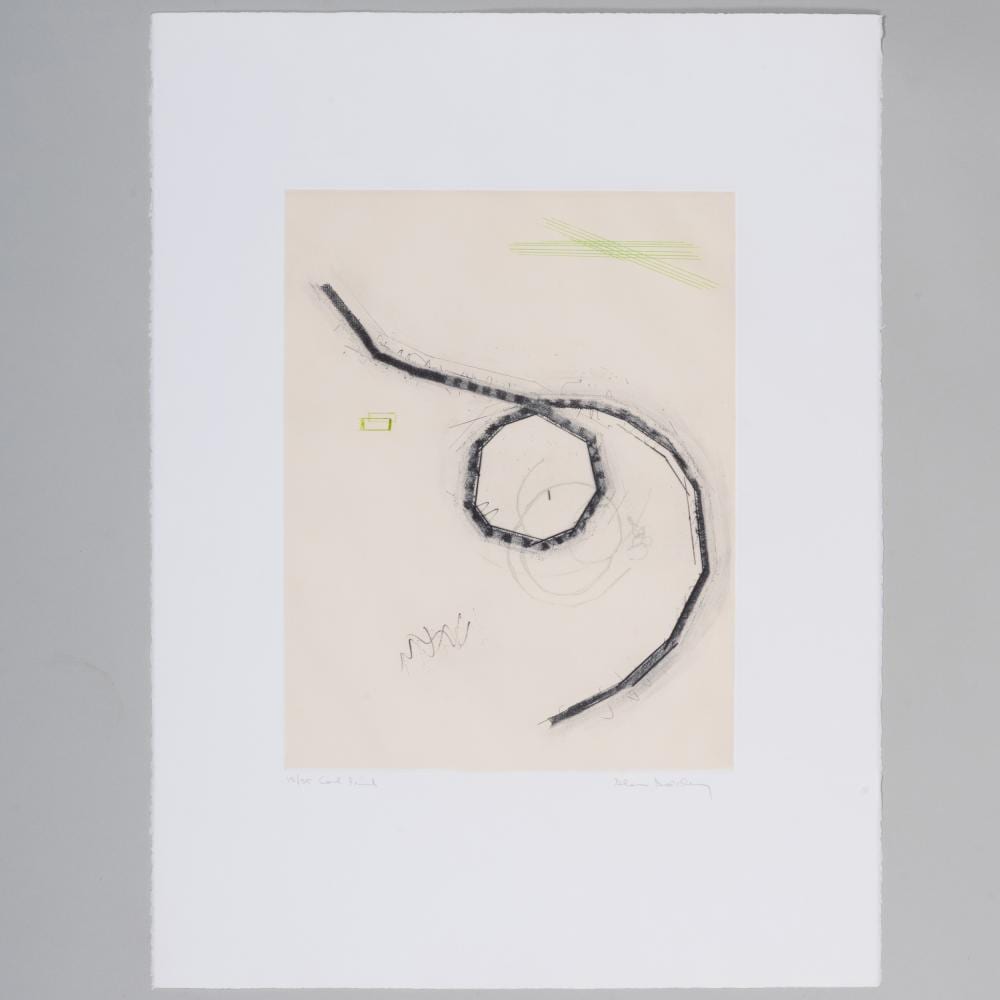 Glenn Goldberg comparable auction result: glenn goldberg b 1953 coil print