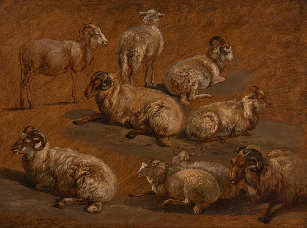 Jan van Ravenswaay comparable auction result: the favourite models of jan van ravenswaay