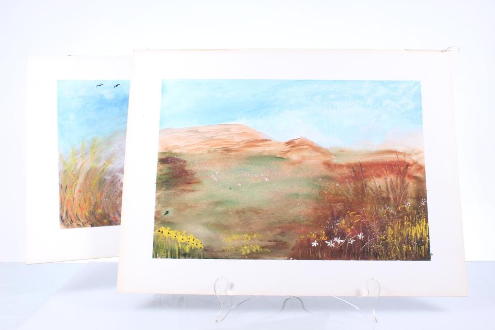Dorothy (1970) Gordon comparable auction result: pair of watercolor paintings by dorothy gordon