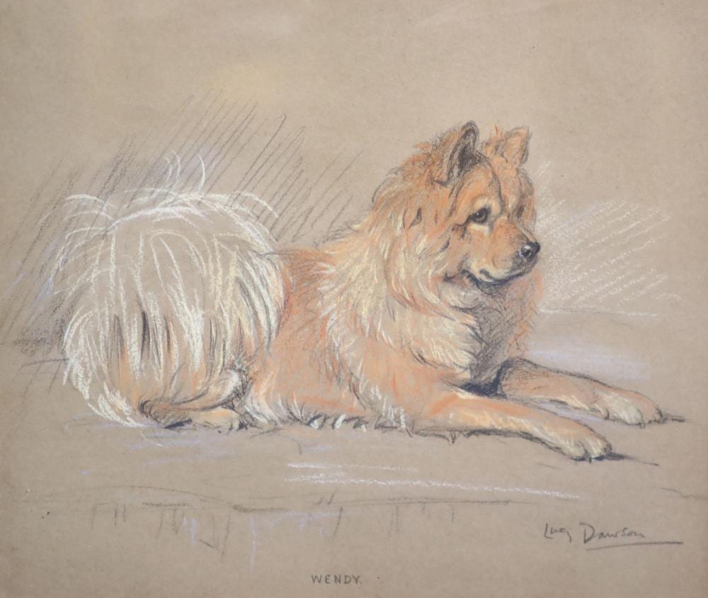 Lucy Dawson comparable auction result: lucy dawson 1867 1954 portrait of a chow chow dog pastel on brown paper 23 x 27 5cm