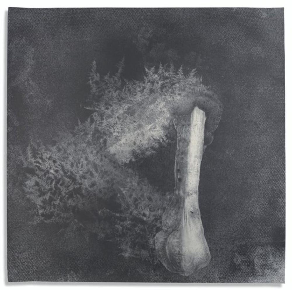 Edgar Arceneaux comparable auction result: edgar arceneaux n en 1972 dawn of man graphite sur papier 148 5 x 149 c