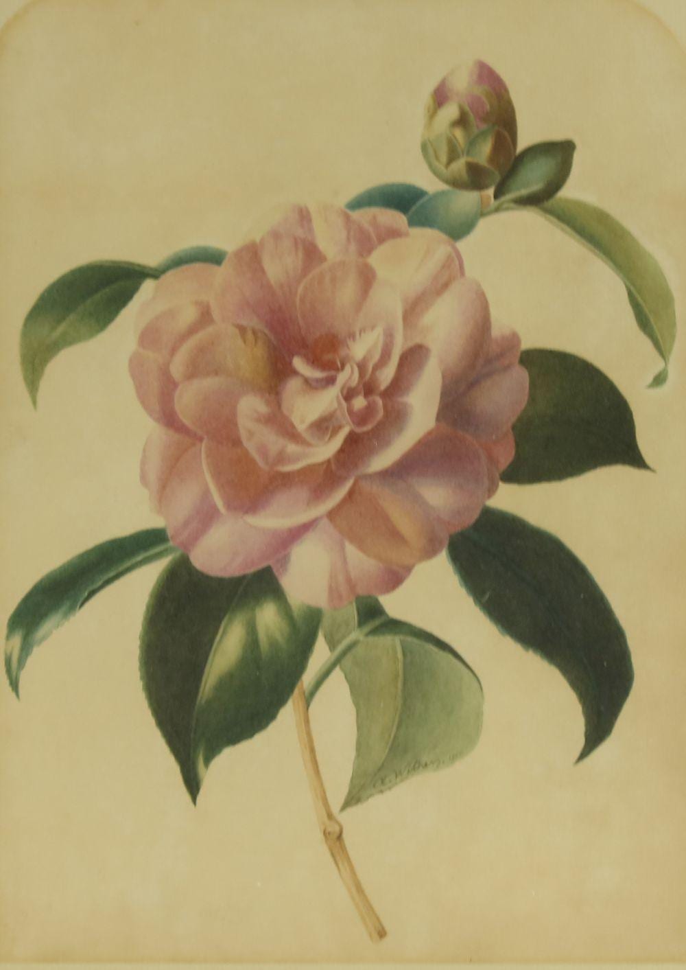 Augusta Innes Withers comparable auction result: augusta innes withers british 1792 187