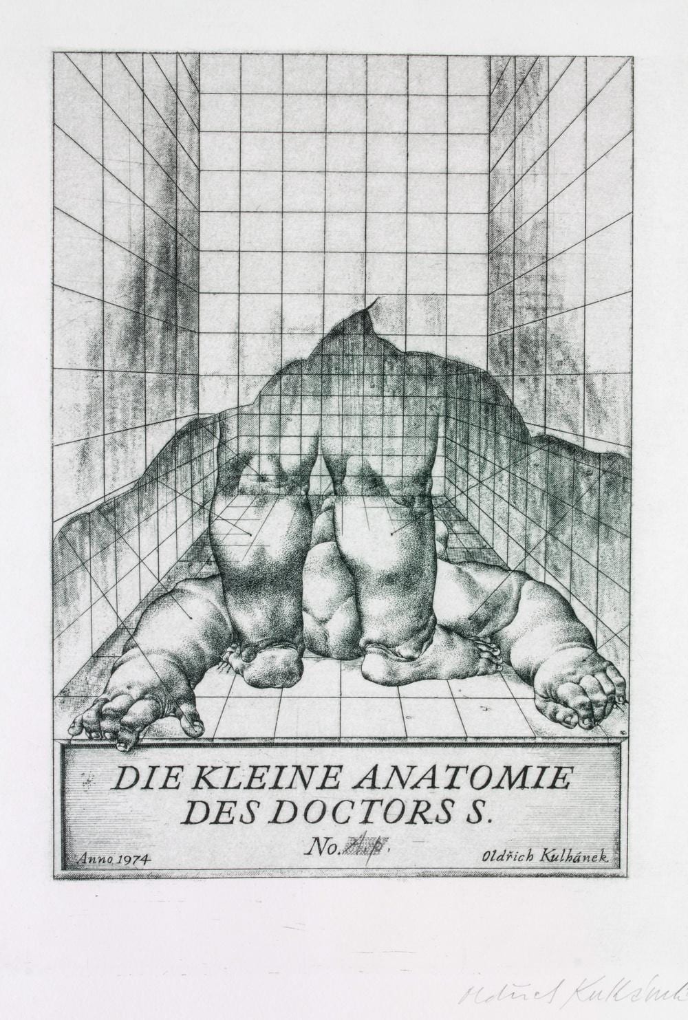 Oldrich Kulhanek comparable auction result: oldrich kulhanek 1940 2013 die kleine anatomie des doctors s
